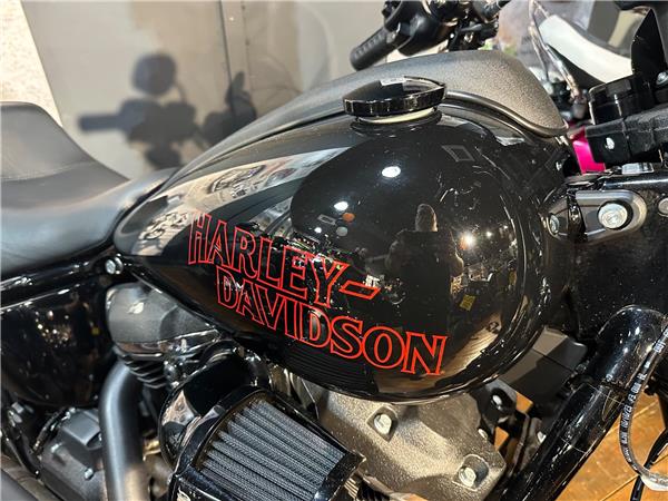2025 Harley-Davidson Softail