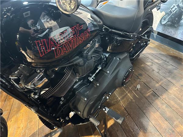 2025 Harley-Davidson Softail