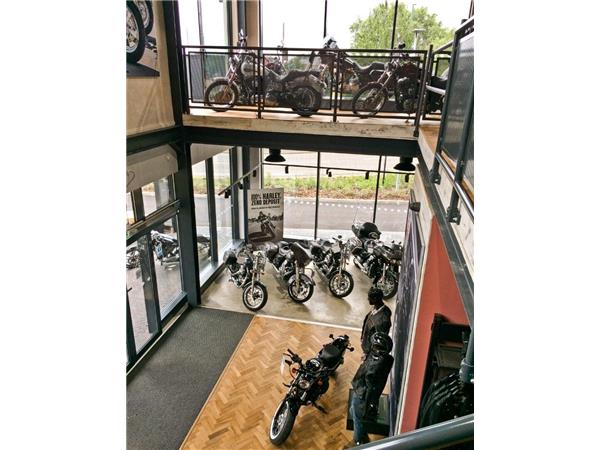 2025 HARLEY-DAVIDSON Softail
