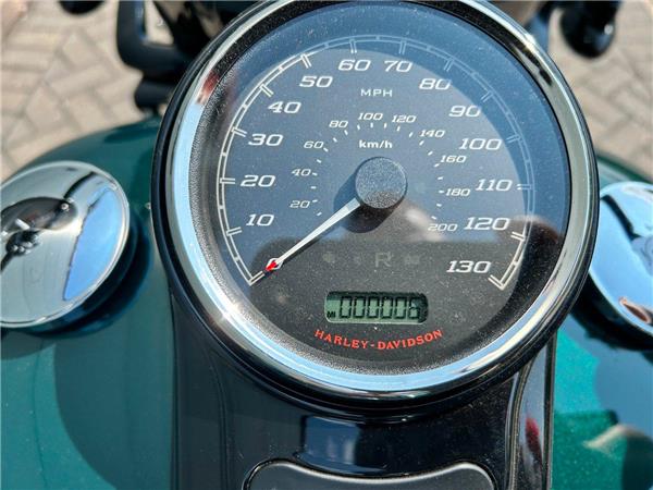 2025 Harley-Davidson Freewheeler