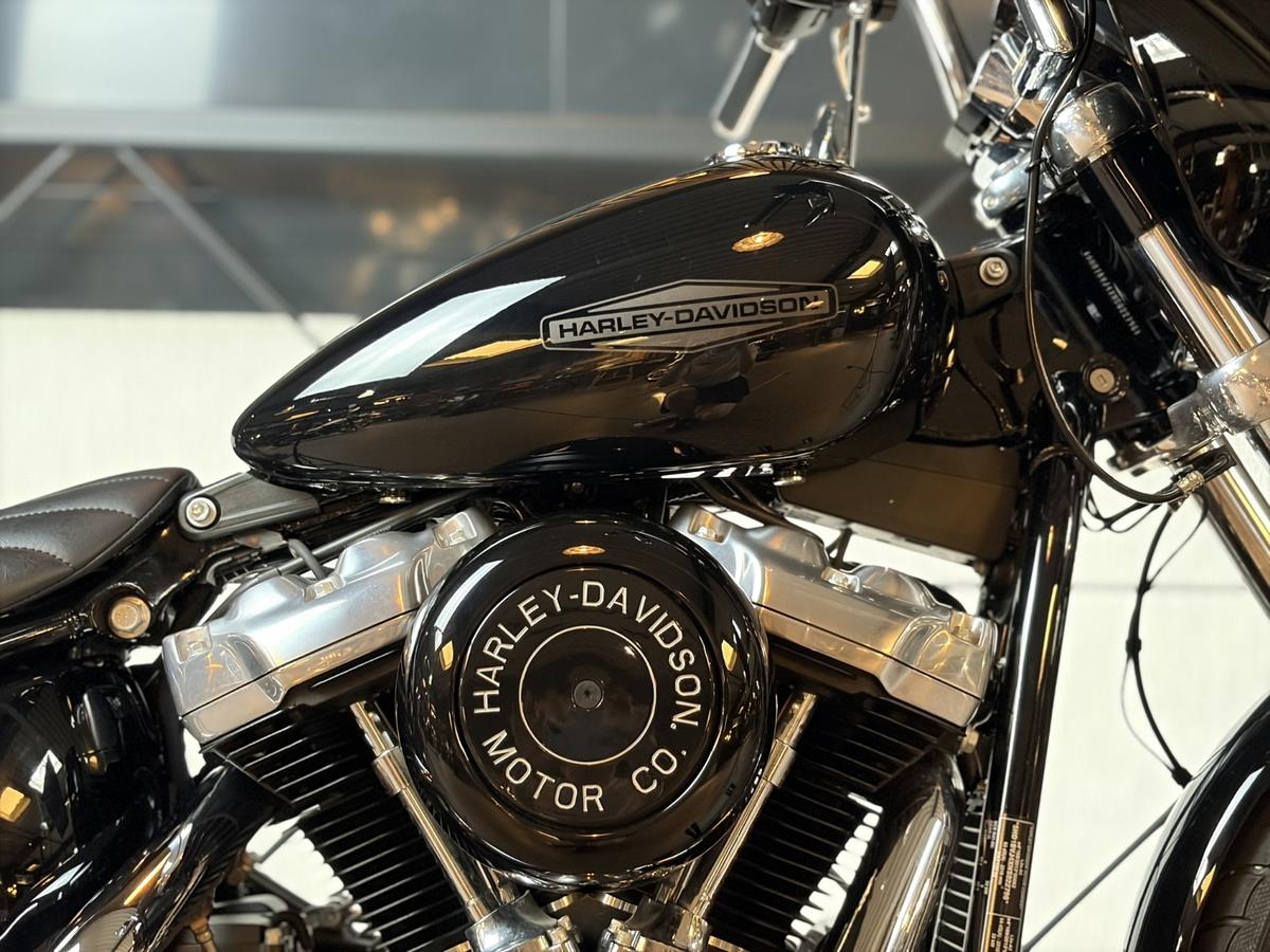 FXST Softail Standard IM KUNDENAUFTRAG