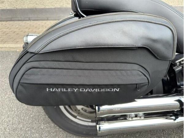 2023 Harley-Davidson Softail Standard
