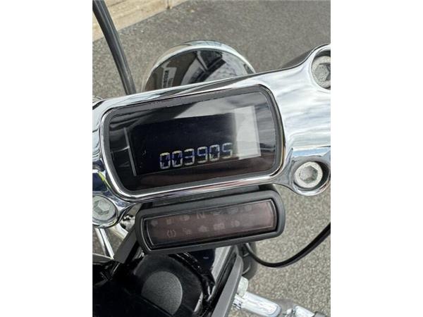 2023 Harley-Davidson Softail Standard