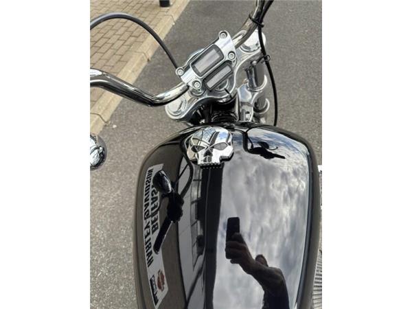2023 Harley-Davidson Softail Standard