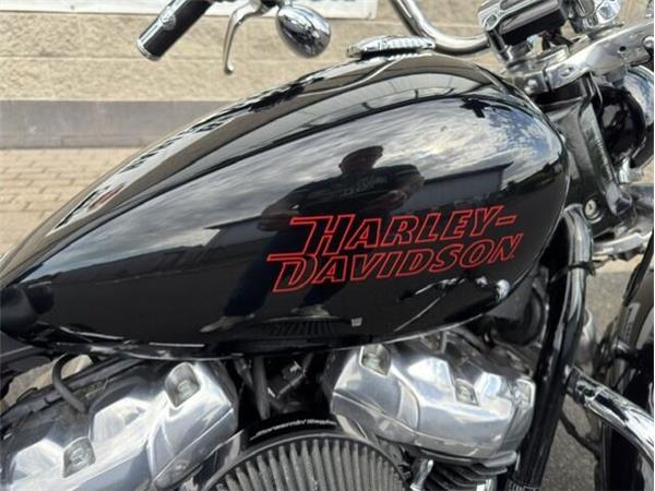 2023 Harley-Davidson Softail Standard