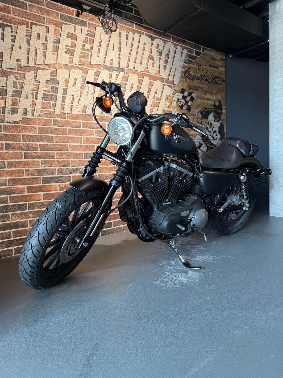 2013 harley-davidson XL 883 N Sportster Iron