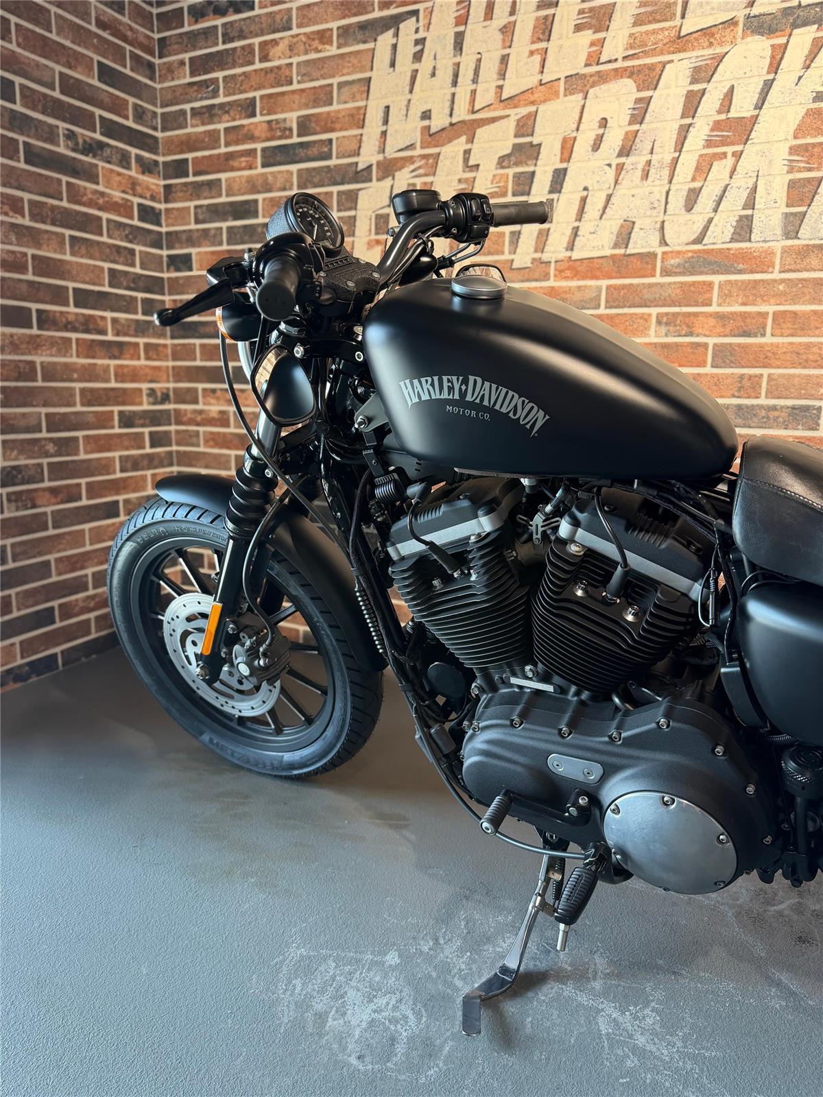 2013 harley-davidson XL 883 N Sportster Iron