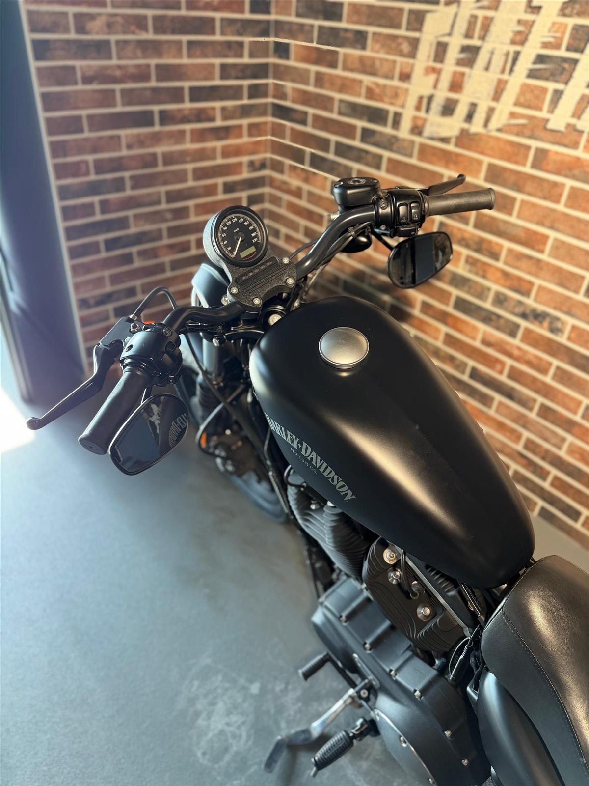 2013 harley-davidson XL 883 N Sportster Iron