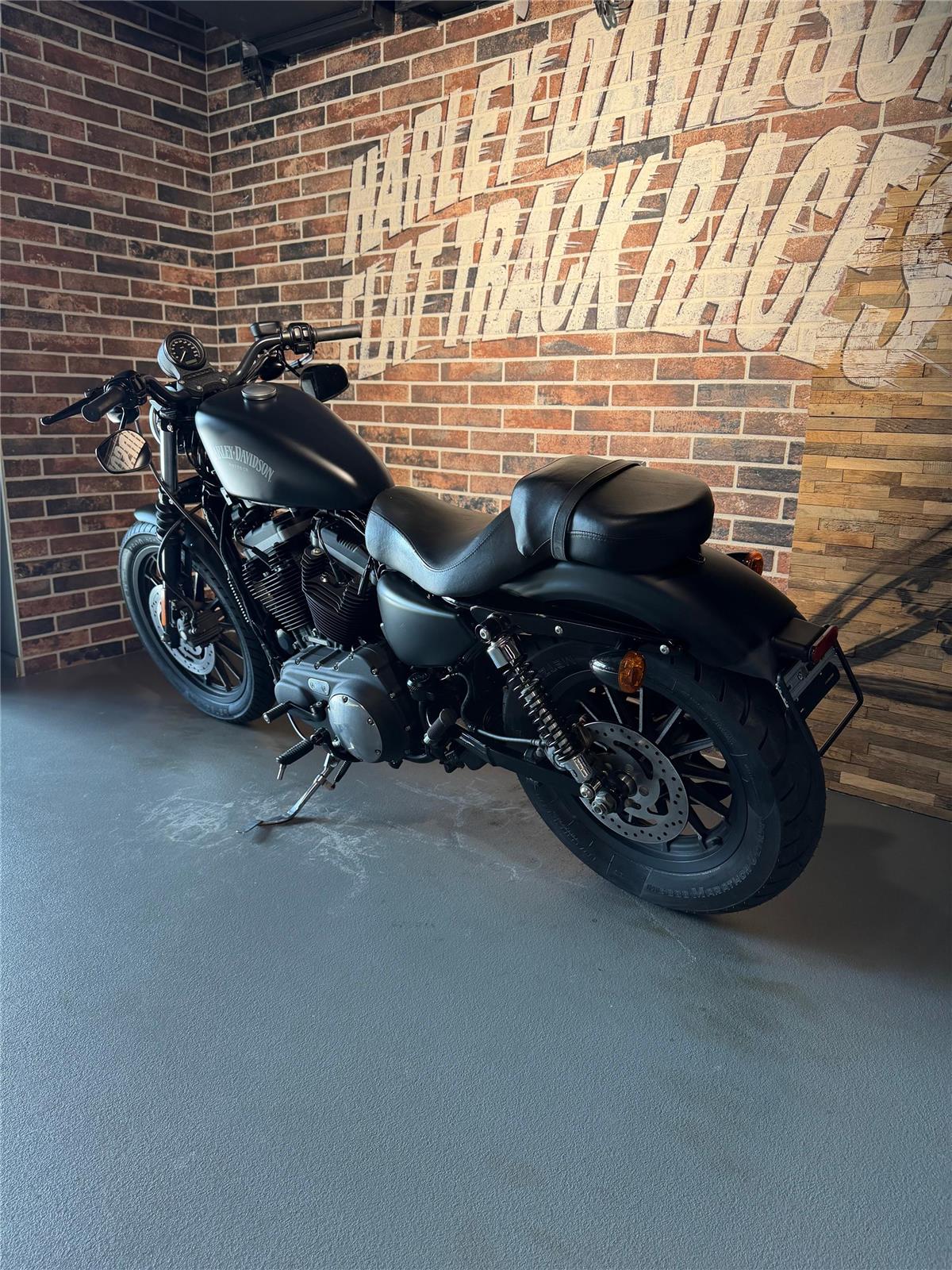 2013 harley-davidson XL 883 N Sportster Iron