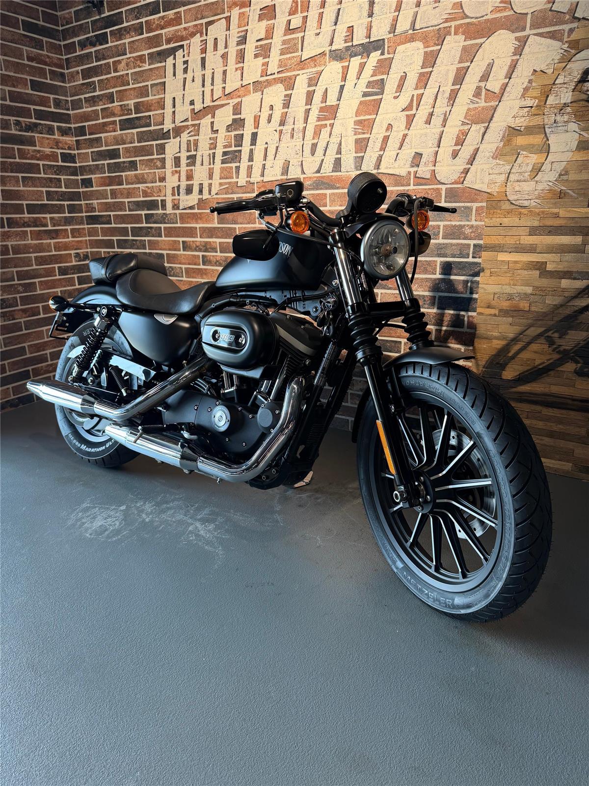 2013 harley-davidson XL 883 N Sportster Iron