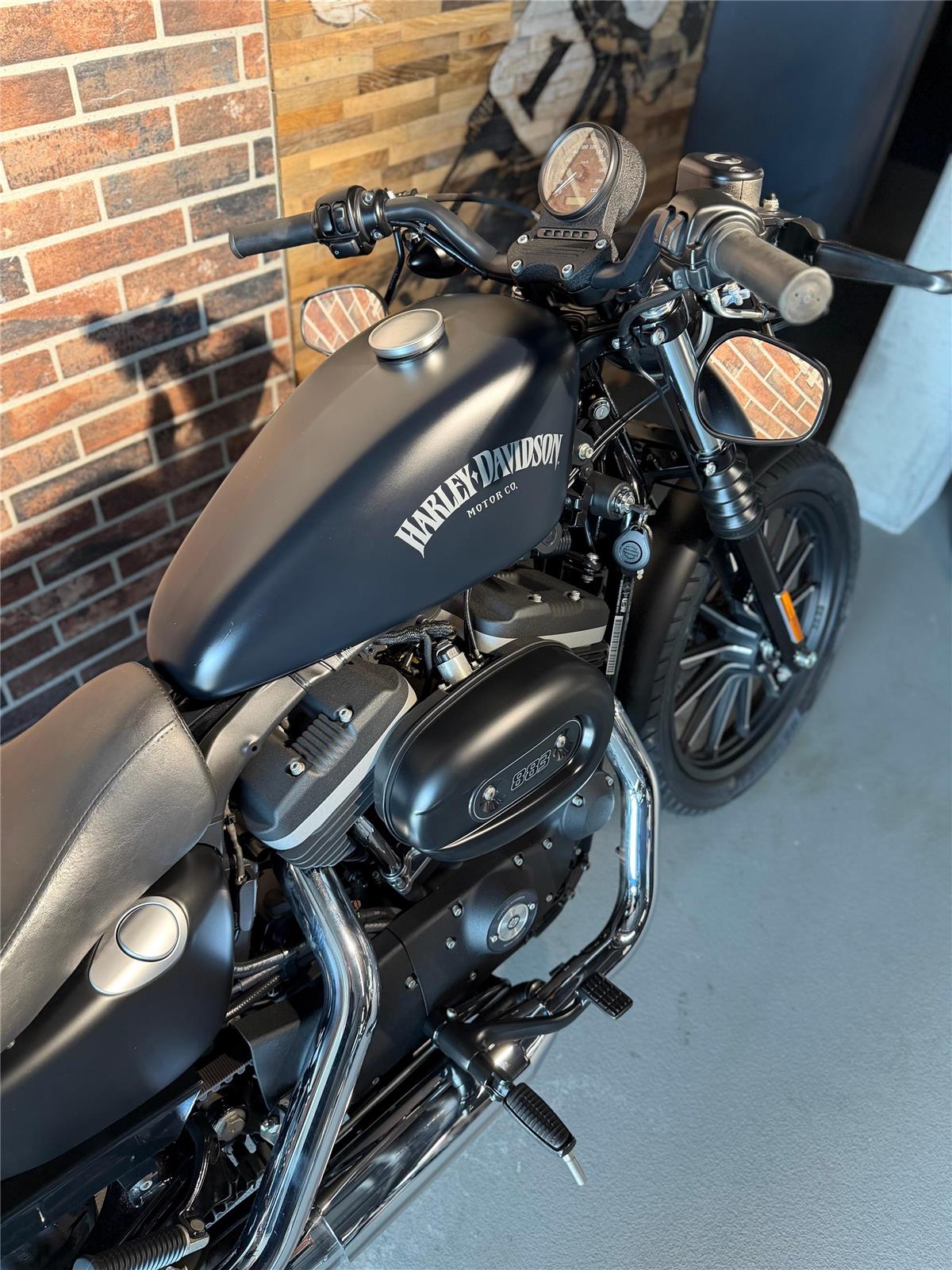2013 harley-davidson XL 883 N Sportster Iron