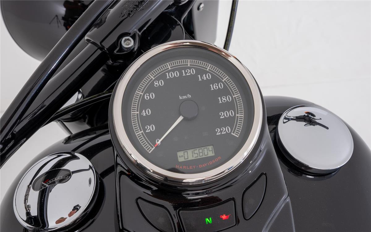 2017 harley-davidson FLSS Softail Slim S110 ABS