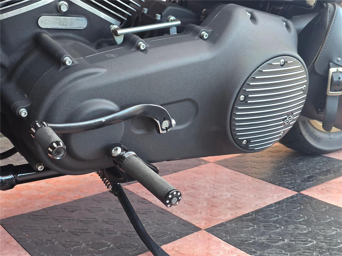 2017 harley-davidson FXDLS Dyna Low Rider S