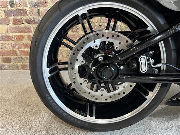 2019 Harley-Davidson Softail