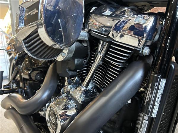 2019 Harley-Davidson Softail