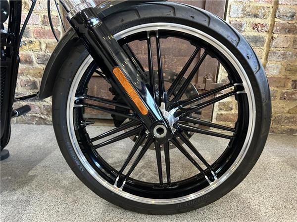 2019 Harley-Davidson Softail