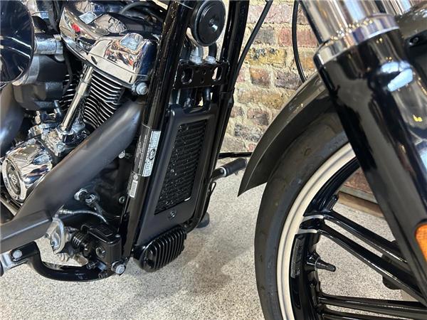 2019 Harley-Davidson Softail