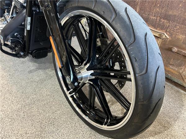 2019 Harley-Davidson Softail