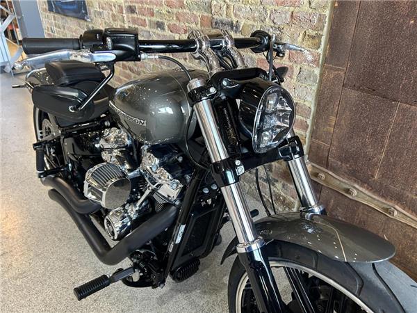 2019 Harley-Davidson Softail