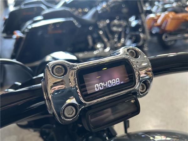 2019 Harley-Davidson Softail