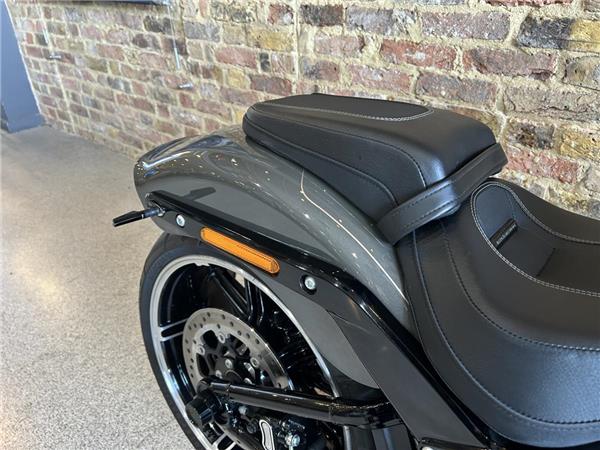2019 Harley-Davidson Softail