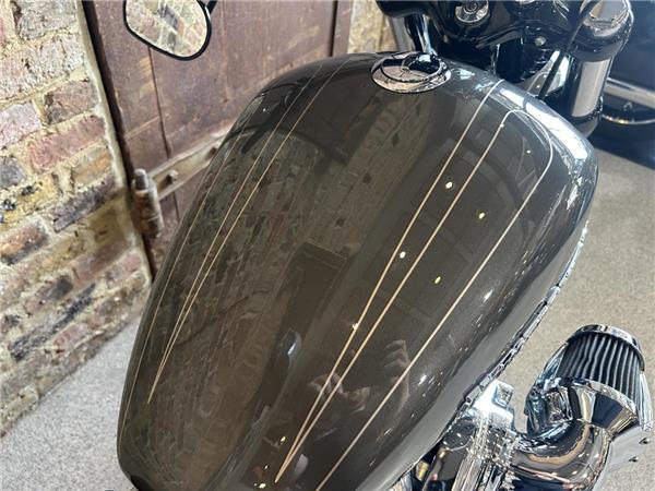 2019 Harley-Davidson Softail