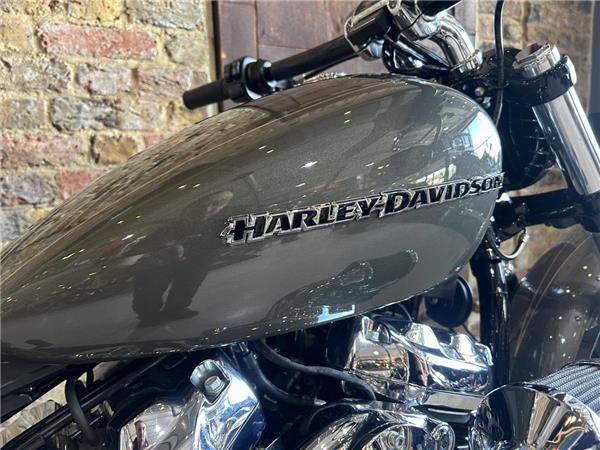 2019 Harley-Davidson Softail