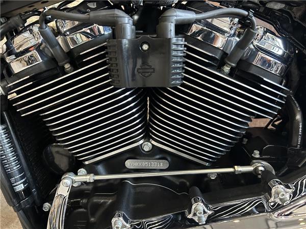 2019 Harley-Davidson Softail