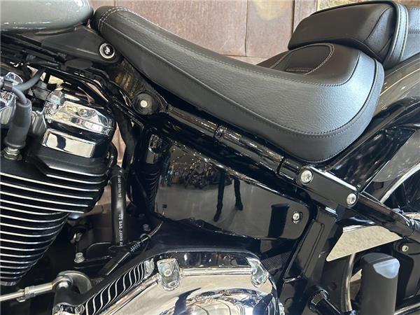 2019 Harley-Davidson Softail