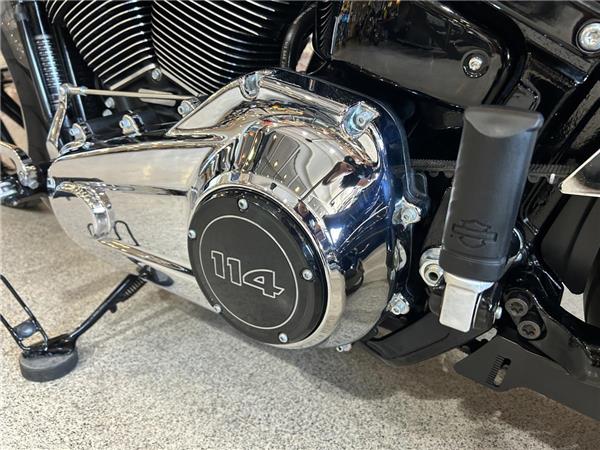 2019 Harley-Davidson Softail