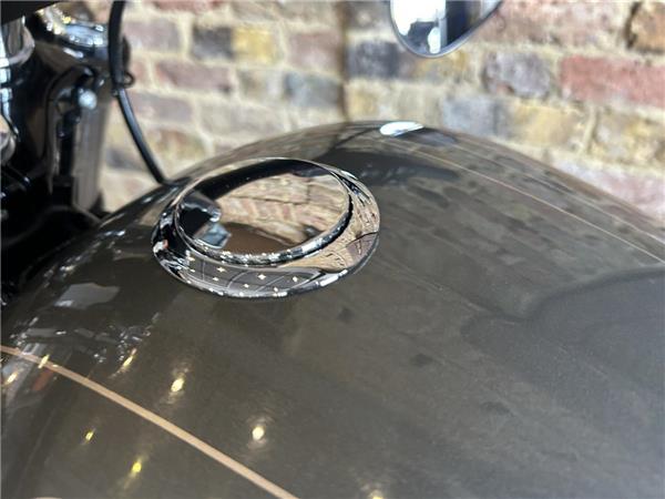 2019 Harley-Davidson Softail