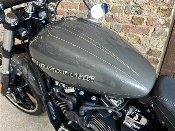 2019 Harley-Davidson Softail