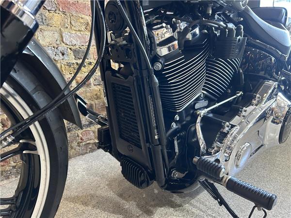 2019 Harley-Davidson Softail