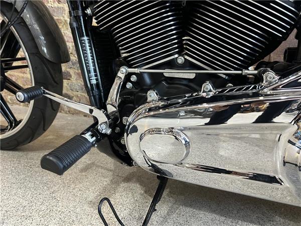 2019 Harley-Davidson Softail