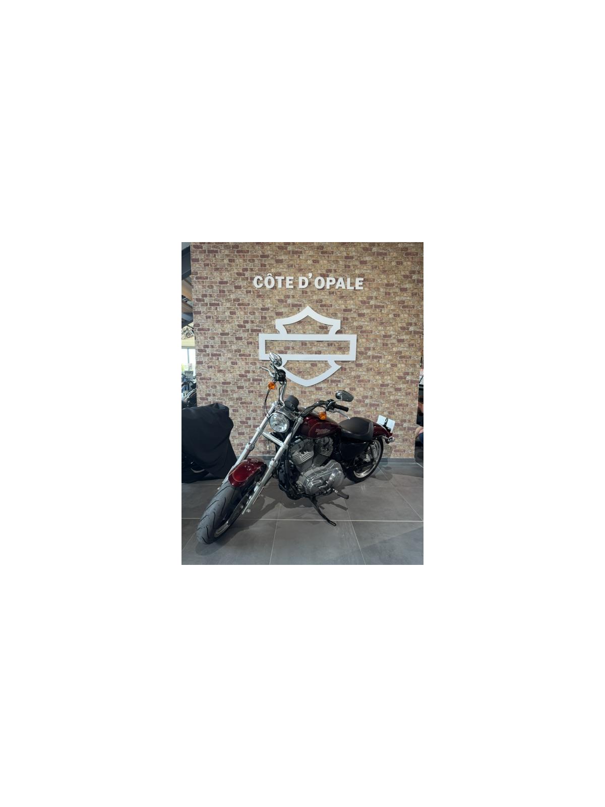 2013 HARLEY-DAVIDSON LOW