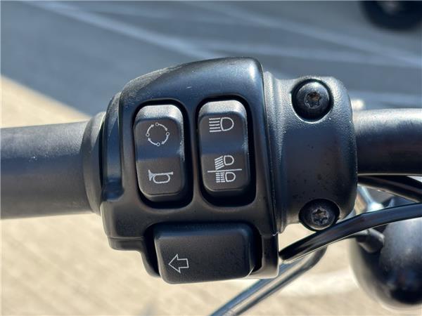 2017 HARLEY-DAVIDSON SPORTSTER XL883N IRON