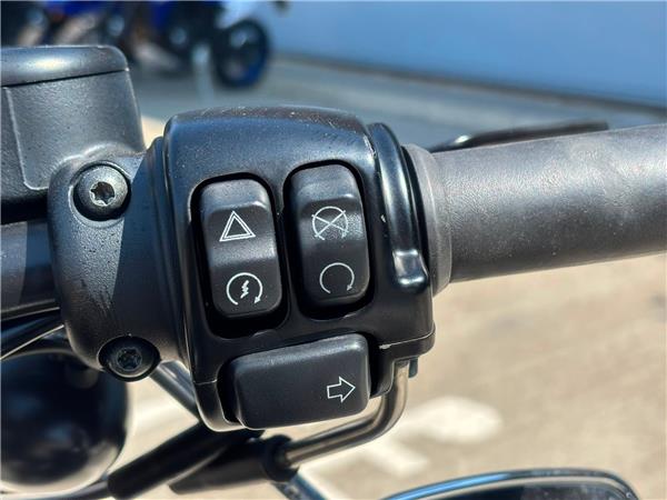 2017 HARLEY-DAVIDSON SPORTSTER XL883N IRON