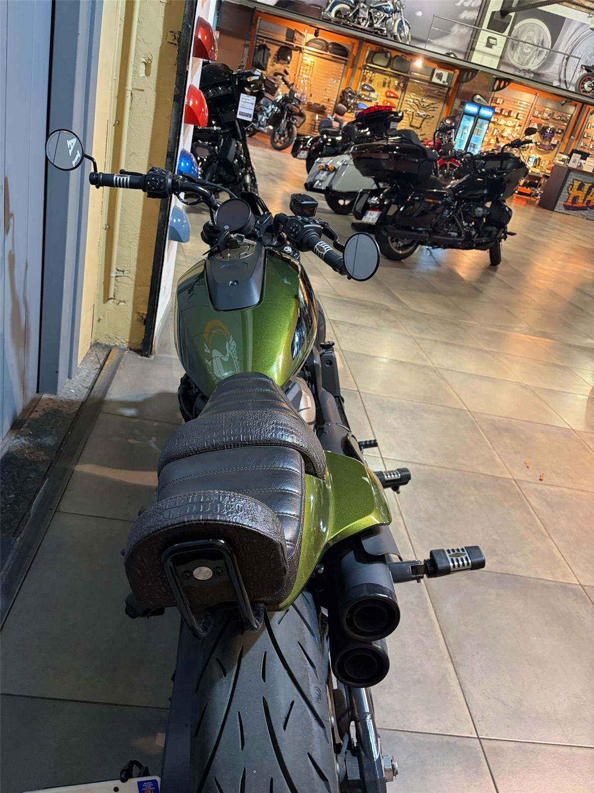 2022 HARLEY-DAVIDSON SPORTSTER 1250