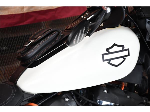 2019 HARLEY-DAVIDSON SOFTAIL FXFB FAT BOB