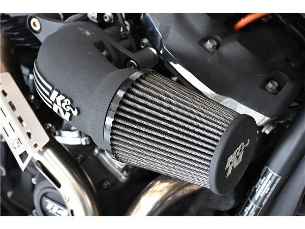 2019 HARLEY-DAVIDSON SOFTAIL FXFB FAT BOB