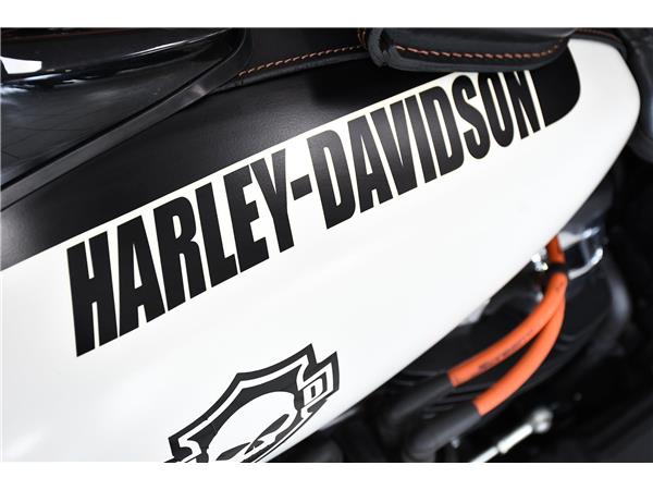 2019 HARLEY-DAVIDSON SOFTAIL FXFB FAT BOB