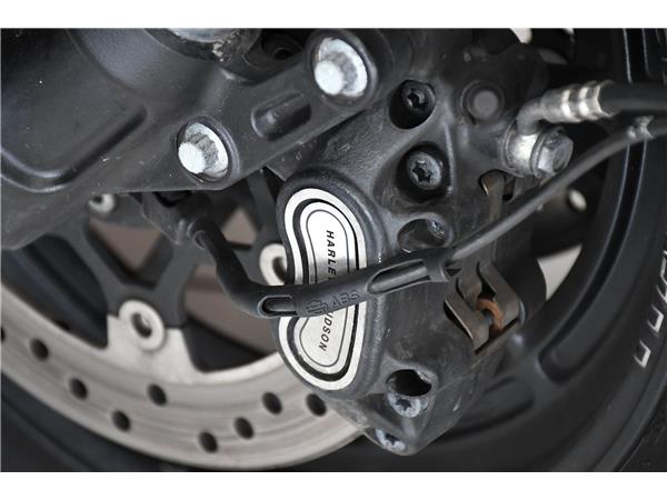 2019 HARLEY-DAVIDSON SOFTAIL FXFB FAT BOB