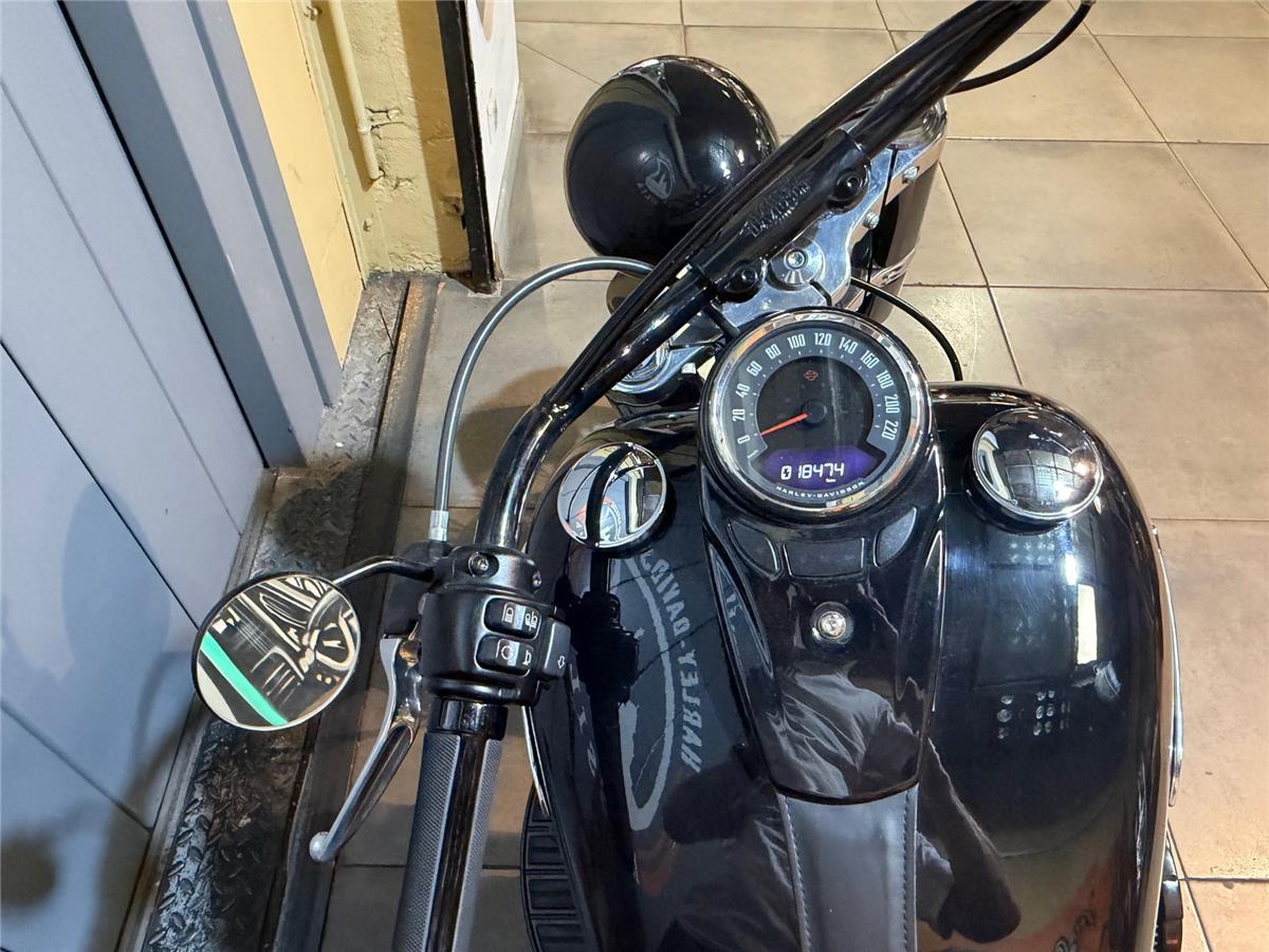 2020 HARLEY-DAVIDSON SLIM