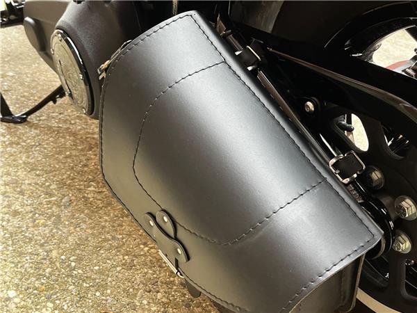 2022 Harley-Davidson Softail