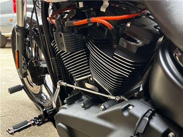 2022 Harley-Davidson Softail