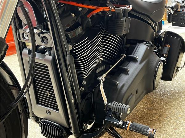 2022 Harley-Davidson Softail