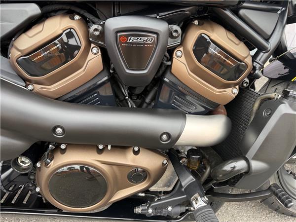 2022 HARLEY-DAVIDSON SPORTSTER S