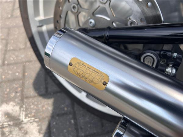 2019 HARLEY-DAVIDSON Softail