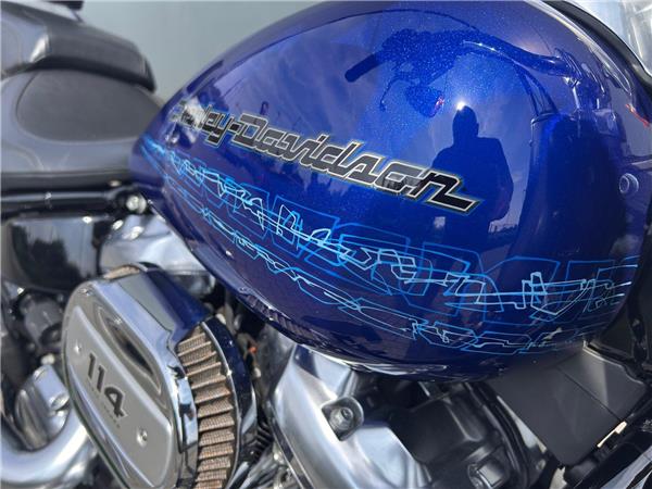 2019 HARLEY-DAVIDSON Softail