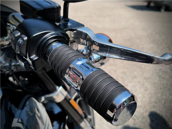 Harley-Davidson Softail-Cruiser